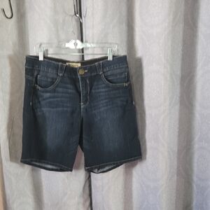 Democracy Deep Indigo Jean Shorts